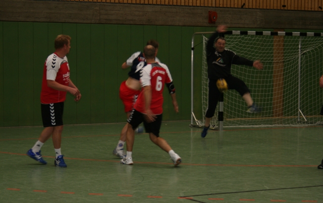 Handballtag 2013 1. Herren